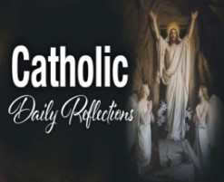 Crying Out to Jesus – Catholic Daily Reflections