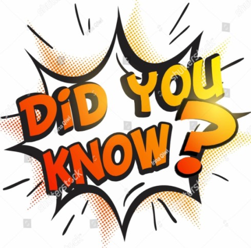 Did You Know? – Get Fed Bite Sized Faith